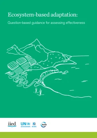 Ecosystem-based adaptation_Question-based guidance for assessing effectiveness