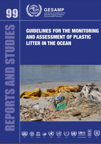 Guidelines for the Monitoring and Assessment of Plastic Litter in the Ocean_GESAMP.JPG