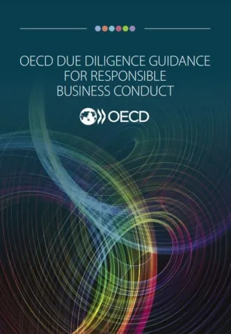 OECD Due Diligence Guidance for Responsible Business Conduct_OECD.JPG
