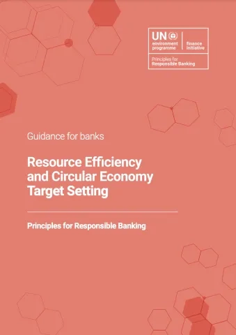 Resource-Efficiency-and-Circular-Economy-Target-Setting.png
