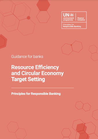 Resource-Efficiency-and-Circular-Economy-Target-Setting.png