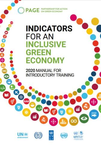 Training Manuals on Indicators for Green Economy Policymaking_PAGE.JPG