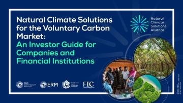 Nature climate solutions