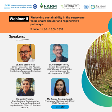 Unlocking sustainability in the sugarcane value chain – circular and regenerative pathways