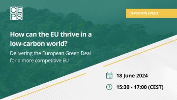 EU thrive in a low-carbon world
