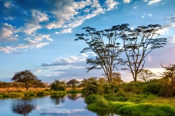 Photo by Lucaar on Adobe