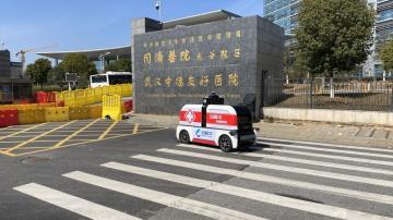 Photos courtesy of White Rhino Auto company