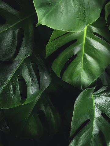 Photho by Bart-Zimny-on unsplash.jpg