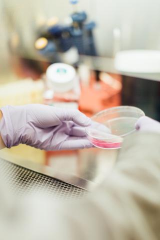 Photo of pink chemical by Drew Hays on Unsplash