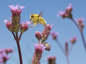 Photo by Gabriel Gabriel on Unsplash.JPG