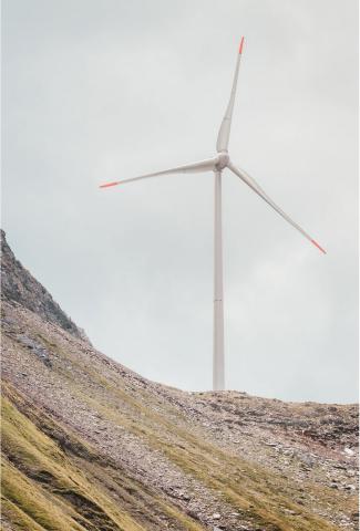 Photo by Martin Adams on Unsplash.JPG