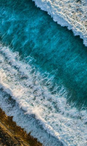 Photo by Shifaaz Shamoon on Unsplash.JPG