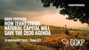 GGKP Webinar: SDG Erosions, 10 Nov 2020