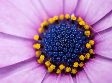 andrea-riezzo-436461-unsplash