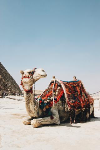 Photo by Isabella JuskovÃ¡ on Unsplash