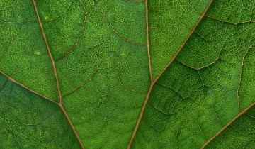 photo from unsplash.jpg