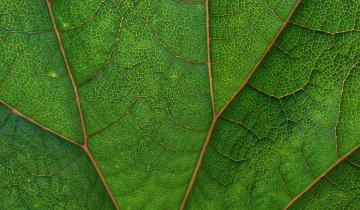 photo from unsplash.jpg