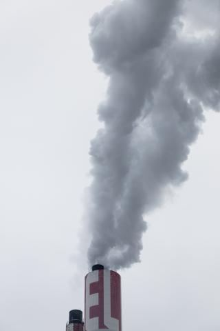 Waste Reduction Model (WARM)_Martin Adams_unsplash