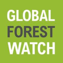 Advances in Forest Monitoring Alert Systems_World Resources Institute (WRI).JPG