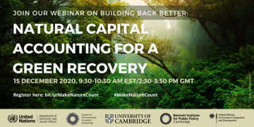 Card - Webinar Natural Capital Accounting for a Green Recovery