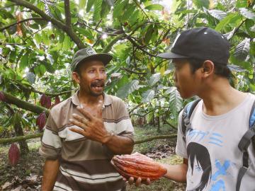 su-re.co in Indonesia