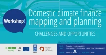 Domestic Climate Finance Mapping & Planning Workshop_ CPI.png