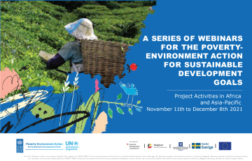 UNEP UNDP PEA webinar series