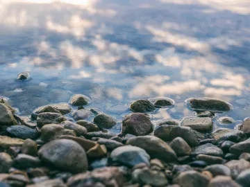 Photo by Aaron Burden on Unsplash