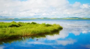 Photo of wetland by Chang Qing on Unsplash