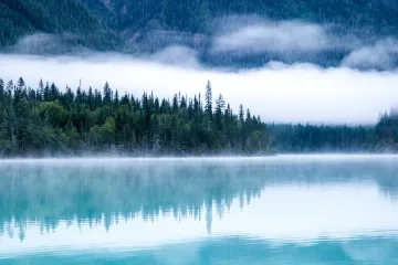 Photo of trees and lake by Kalen Emsley on Unsplash