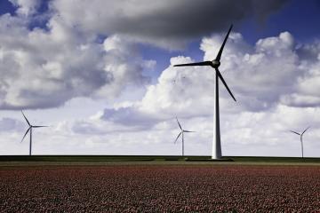 Windmills