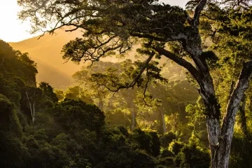 Photo of Nature Valley, South Africa, by redcharlie on Unsplash