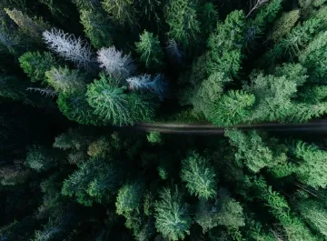 photo from unsplash.jpg