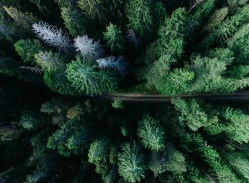 photo from unsplash.jpg