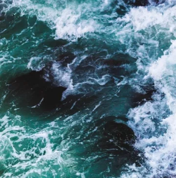 photo from unsplash.PNG
