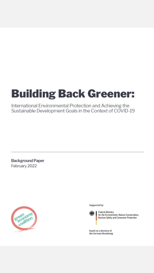 Building Back Greener_UNEP