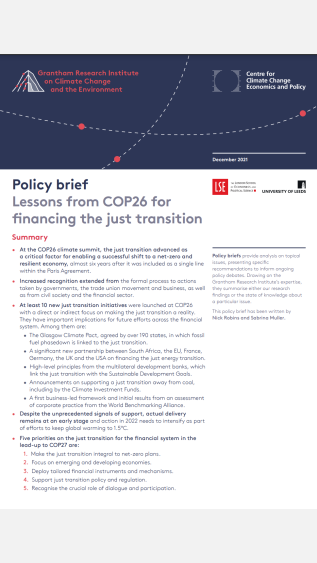 First page of policy brief, blue header with logos, and summary text below.