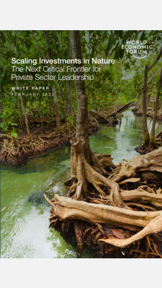 Scaling Investments in Nature