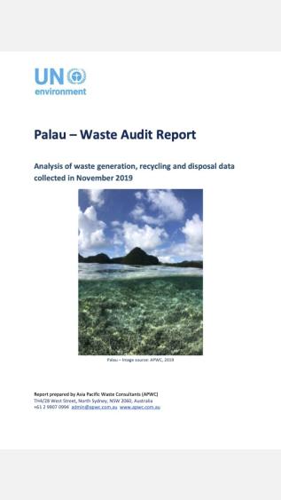 Palau report cover