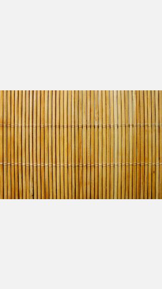 Bamboo mat
