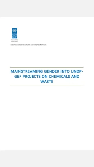 undp