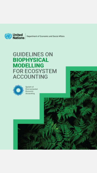Guidelines on Biophysical Modelling for Ecosystem Accounting_UNSD