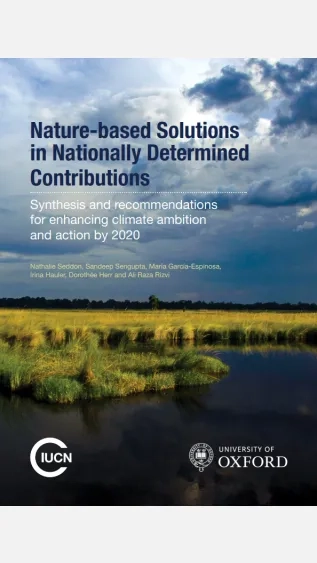 Nature-based Solutions in Nationally Determined Contributions