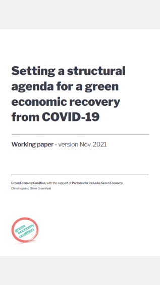 Setting a structural agenda for a green economic recovery from COVID-19_GEC