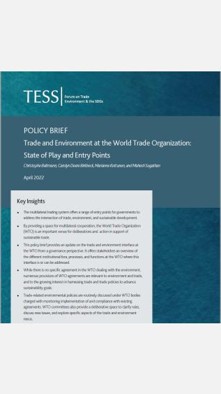 Trade and Environment at the World Trade Organization: State of Play and Entry Points