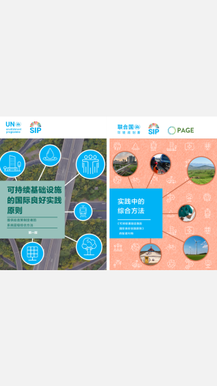 International good practices principles