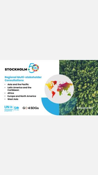 Regional consultations