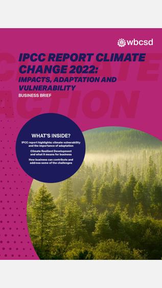 IPCC Report Business Brief_WBCSD