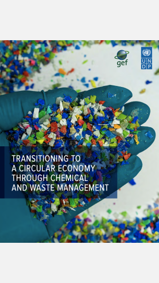 Transitioning To A Circular Economy Through Chemical and Waste Management