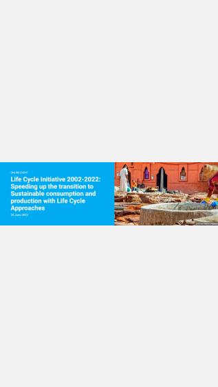 Life Cycle Initiative 2002-2022: Speeding up the transition to Sustainable consumption and production with Life Cycle Approaches